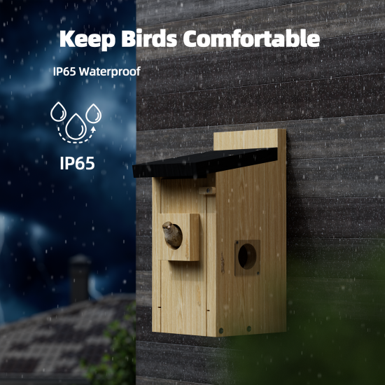 Campark BH10 3MP Smart Wooden Bird House with Camera Two-way Audio Night Vision and Waterproof (Only available in the US)