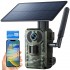 Campark TC25 2K 4G LTE Cellular Trail Camera Solar Power Wildlife Camera with Motion Detection and Instant Notification