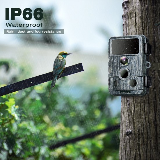 Toguard H200 4K Native WiFi  30MP Trail Camera